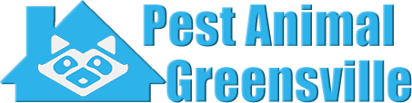 Greenville Wildlife and Animal Removal